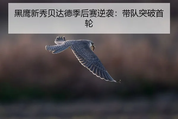 hei-ying-xin-xiu-bei-da-de-ji-hou-sai-ni-xi-dai-dui-tu-po-shou-lun-2-384.jpg