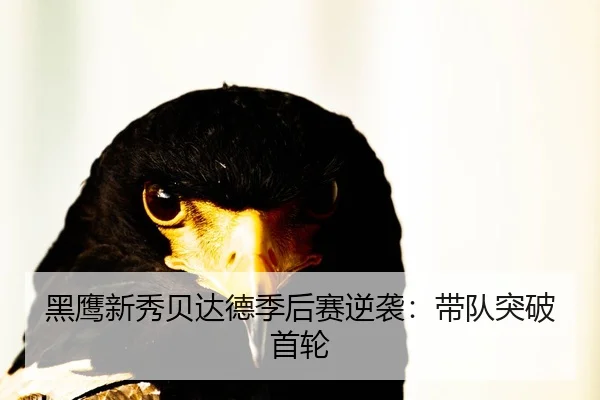 黑鹰新秀贝达德季后赛逆袭：带队突破首轮
